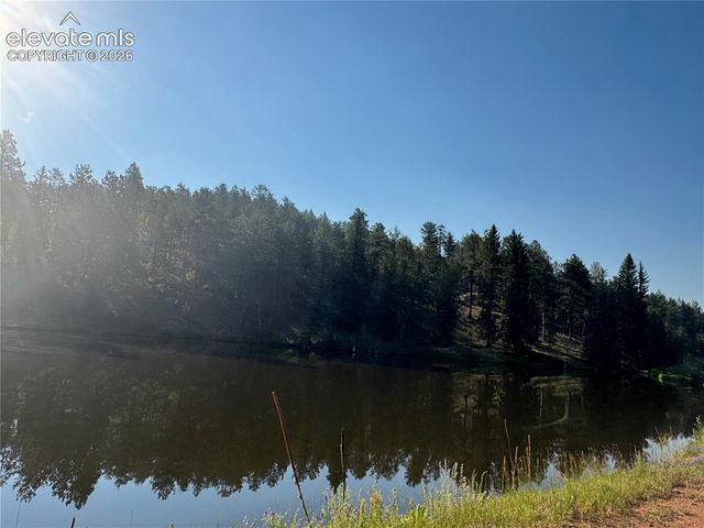 76 Pine Drive, Woodland Park, CO 80863