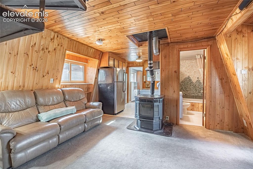 76 Pine Drive, Woodland Park, CO 80863 — photo 5