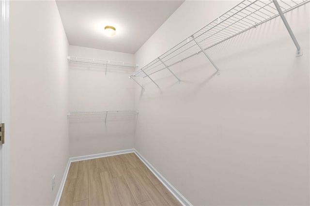 3146 Canter Way, Duluth, GA 30097