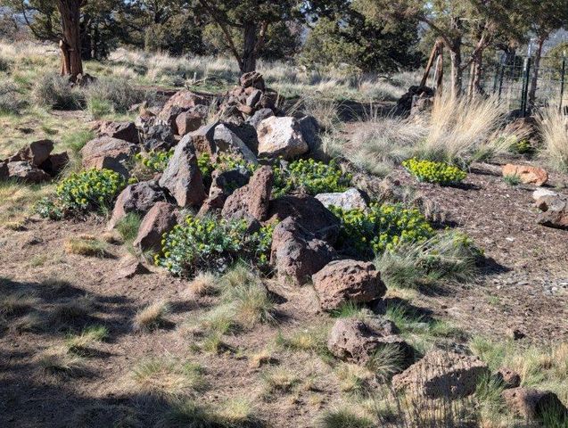 15433 SE Springfield Street, Prineville, OR 97754