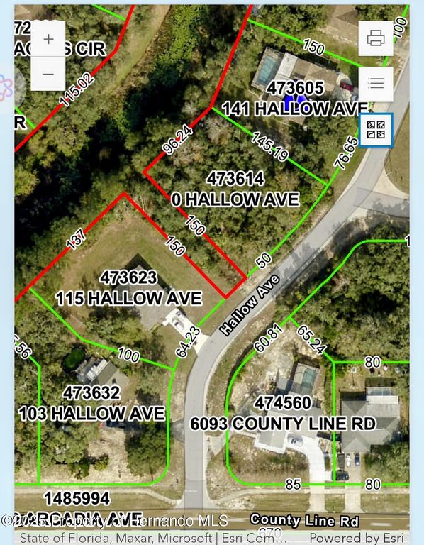 0 Hallow Avenue, Spring Hill, FL 34606