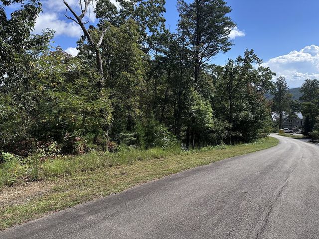 234 Stone Cliff Drive, Ellijay, GA 30536
