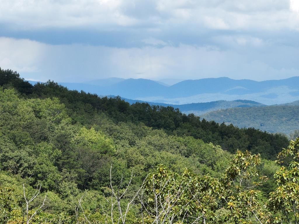 234 Stone Cliff Drive, Ellijay, GA 30536