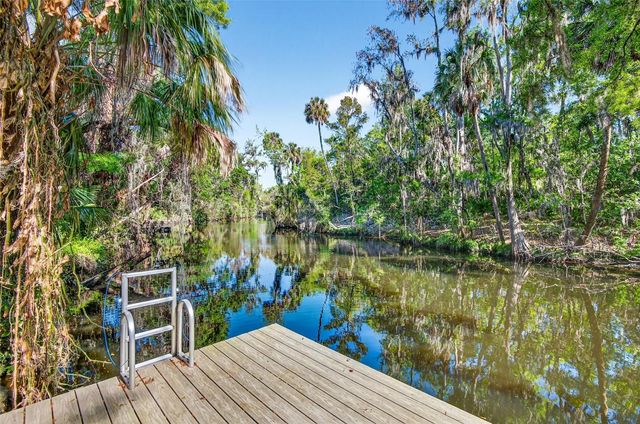 8312 REVELS ROAD, Riverview, FL 33569