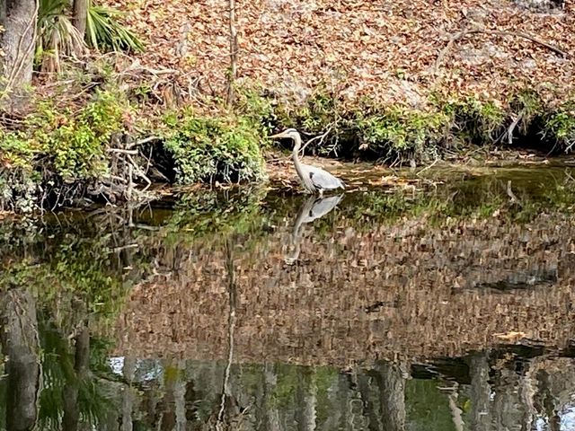 8312 REVELS ROAD, Riverview, FL 33569