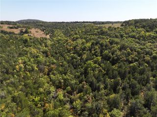 N/A Bear Bottom, Lead Hill, AR 72644