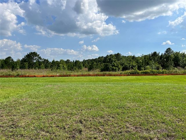 1487 FOX SQUIRREL DRIVE, Davenport, FL 33897