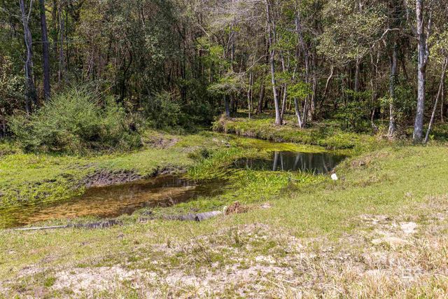 11100 Rhett McConnell Road, Theodore, AL 36582