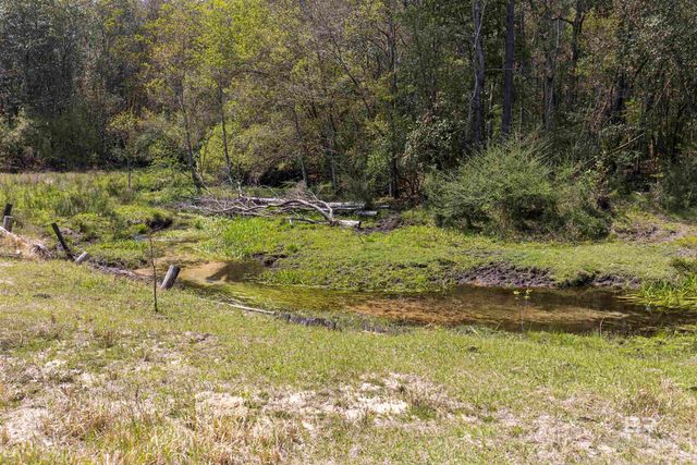 11100 Rhett McConnell Road, Theodore, AL 36582