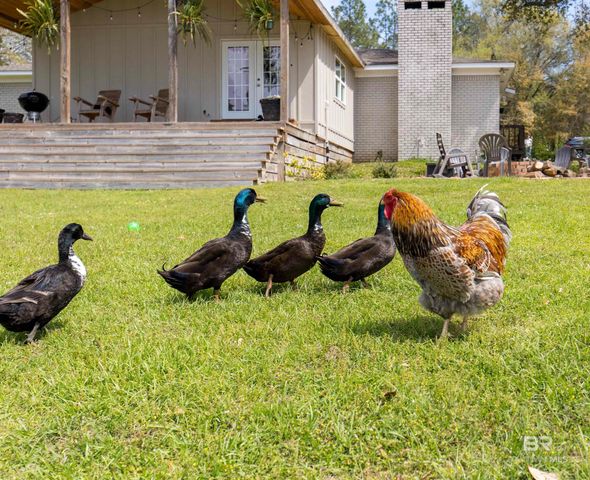 11100 Rhett McConnell Road, Theodore, AL 36582