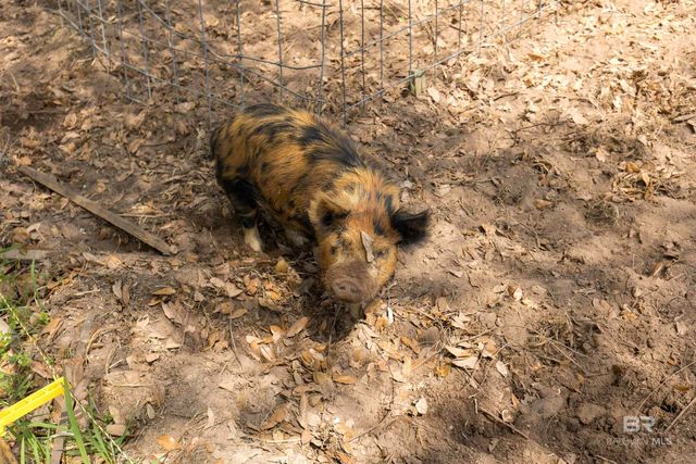 11100 Rhett McConnell Road, Theodore, AL 36582