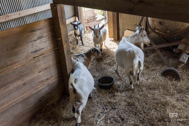 11100 Rhett McConnell Road, Theodore, AL 36582