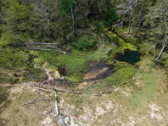 11100 Rhett McConnell Road, Theodore, AL 36582