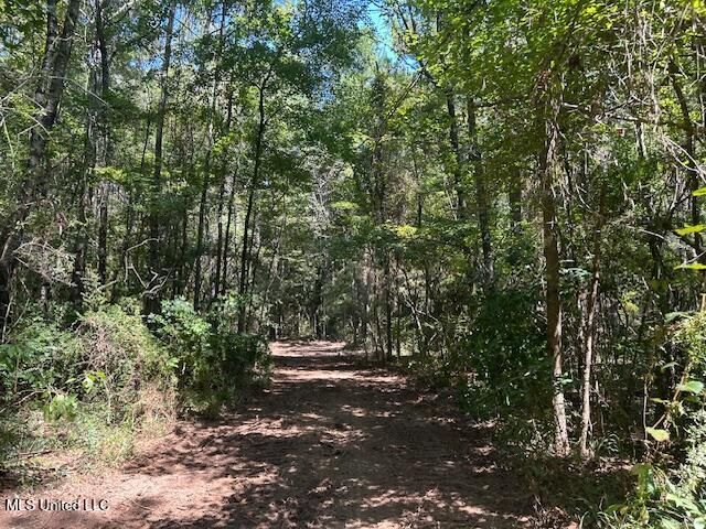 0 Charlie Rhodus Rd, Magnolia, MS 39652