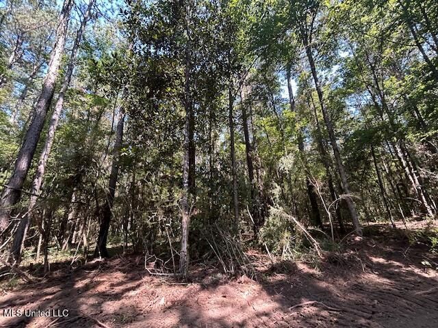 0 Charlie Rhodus Rd, Magnolia, MS 39652