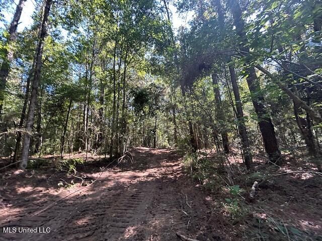 0 Charlie Rhodus Rd, Magnolia, MS 39652
