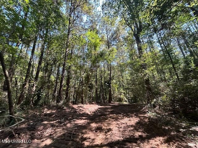 0 Charlie Rhodus Rd, Magnolia, MS 39652