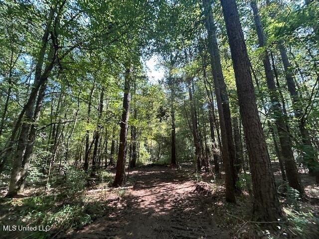 0 Charlie Rhodus Rd, Magnolia, MS 39652