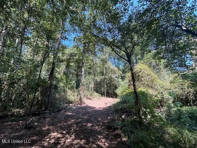 0 Charlie Rhodus Rd, Magnolia, MS 39652