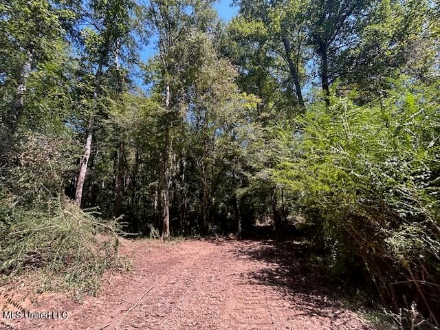 0 Charlie Rhodus Rd, Magnolia, MS 39652