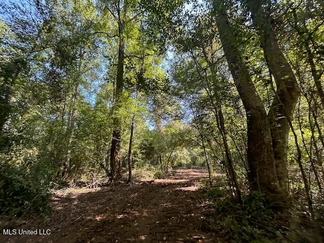 0 Charlie Rhodus Rd, Magnolia, MS 39652