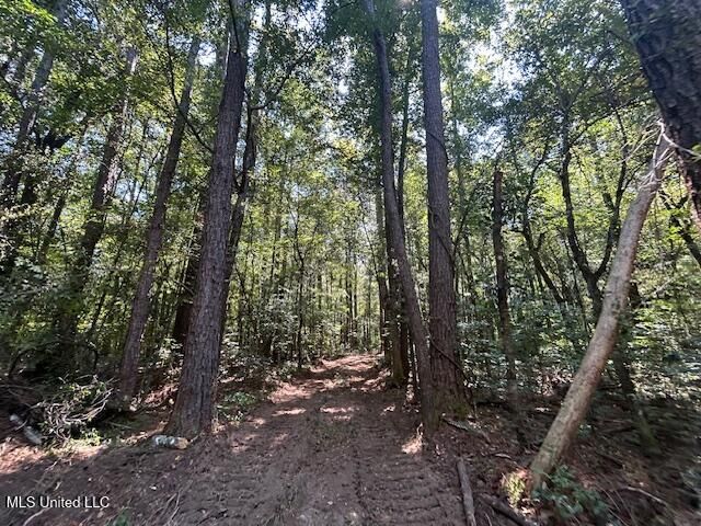 0 Charlie Rhodus Rd, Magnolia, MS 39652