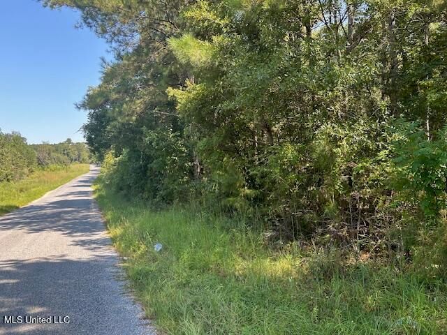 0 Charlie Rhodus Rd, Magnolia, MS 39652