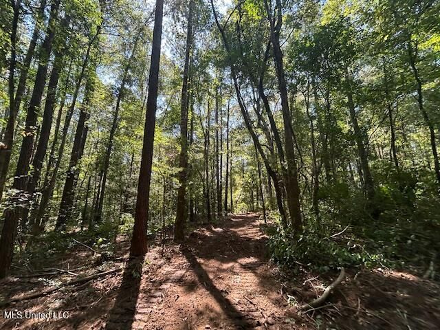 0 Charlie Rhodus Rd, Magnolia, MS 39652