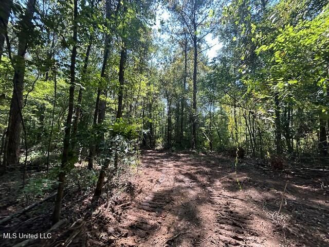0 Charlie Rhodus Rd, Magnolia, MS 39652