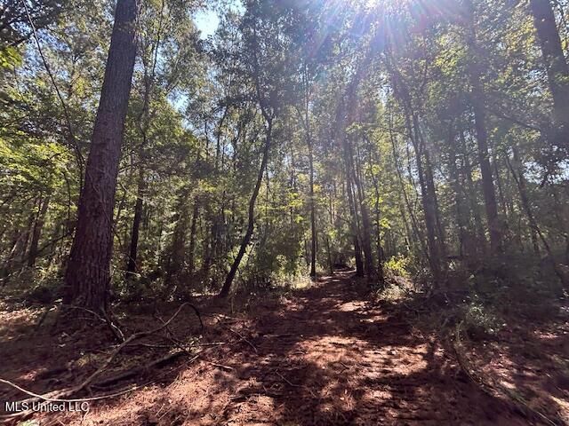 0 Charlie Rhodus Rd, Magnolia, MS 39652