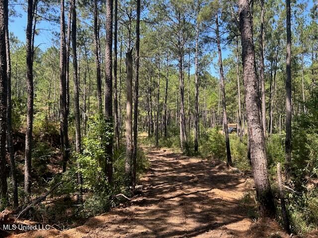 0 Charlie Rhodus Rd, Magnolia, MS 39652