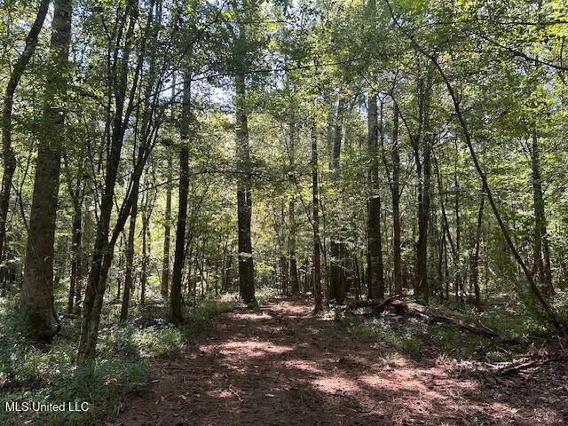 0 Charlie Rhodus Rd, Magnolia, MS 39652