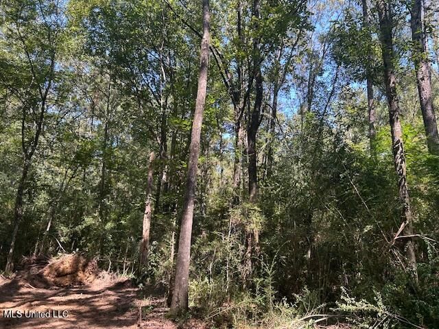 0 Charlie Rhodus Rd, Magnolia, MS 39652