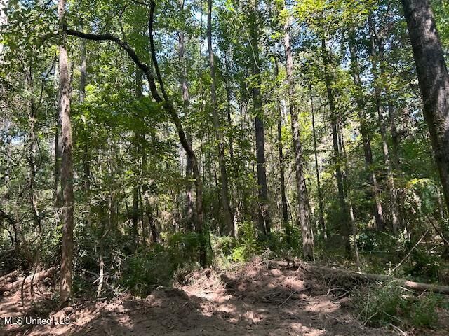 0 Charlie Rhodus Rd, Magnolia, MS 39652