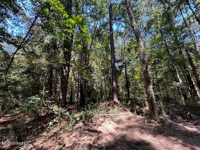 0 Charlie Rhodus Rd, Magnolia, MS 39652