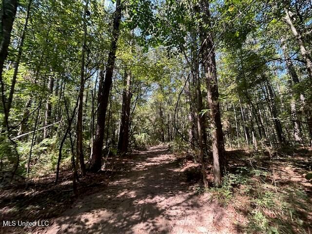 0 Charlie Rhodus Rd, Magnolia, MS 39652