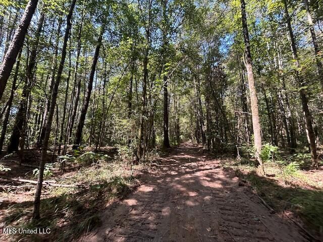 0 Charlie Rhodus Rd, Magnolia, MS 39652