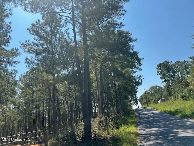 0 Charlie Rhodus Rd, Magnolia, MS 39652