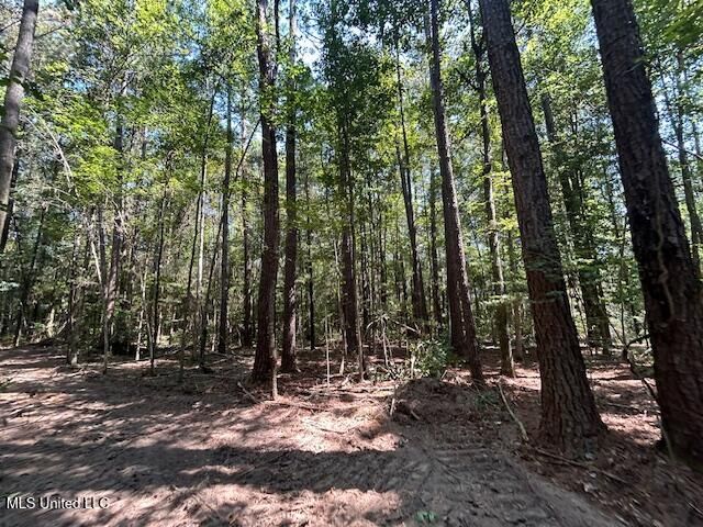 0 Charlie Rhodus Rd, Magnolia, MS 39652