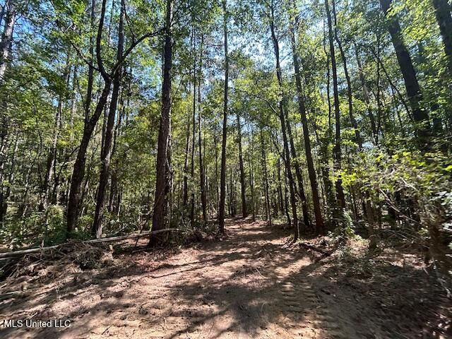 0 Charlie Rhodus Rd, Magnolia, MS 39652