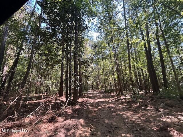 0 Charlie Rhodus Rd, Magnolia, MS 39652