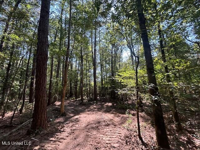 0 Charlie Rhodus Rd, Magnolia, MS 39652
