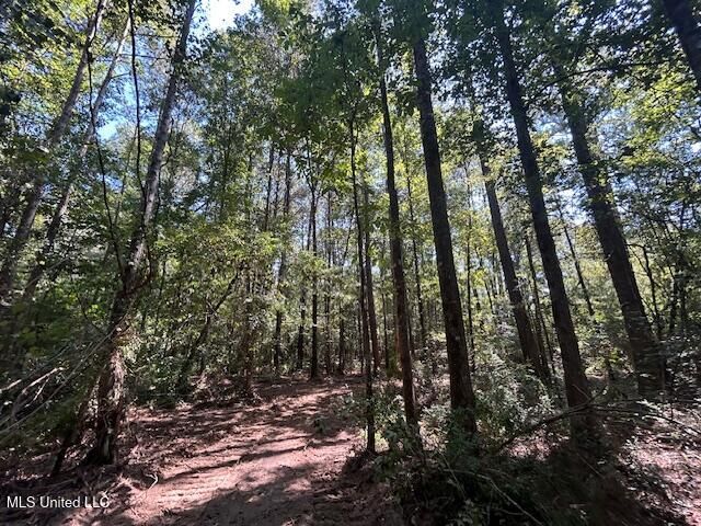 0 Charlie Rhodus Rd, Magnolia, MS 39652