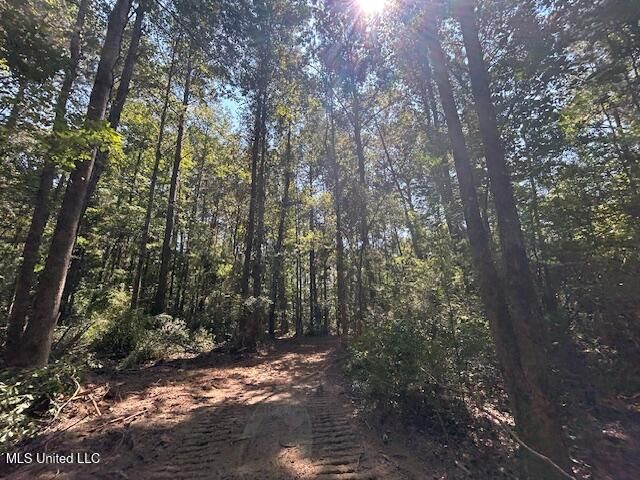 0 Charlie Rhodus Rd, Magnolia, MS 39652
