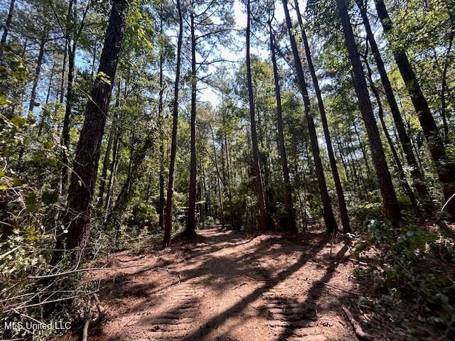 0 Charlie Rhodus Rd, Magnolia, MS 39652