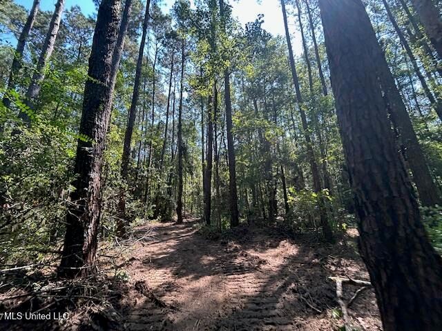 0 Charlie Rhodus Rd, Magnolia, MS 39652
