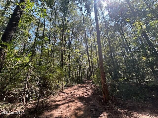 0 Charlie Rhodus Rd, Magnolia, MS 39652
