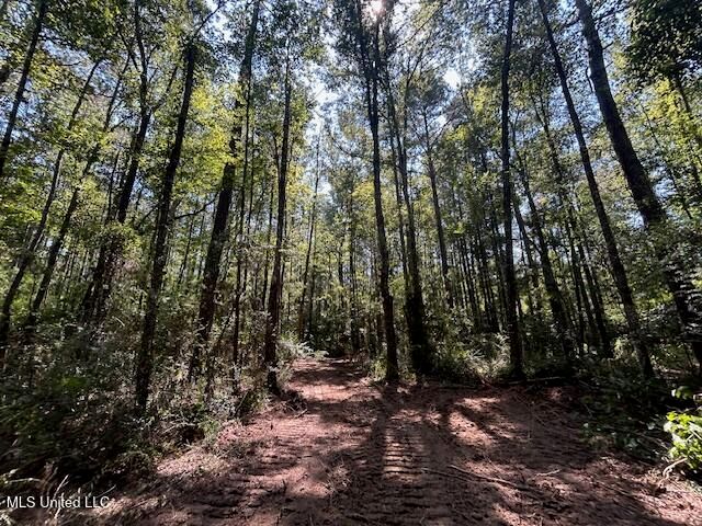 0 Charlie Rhodus Rd, Magnolia, MS 39652