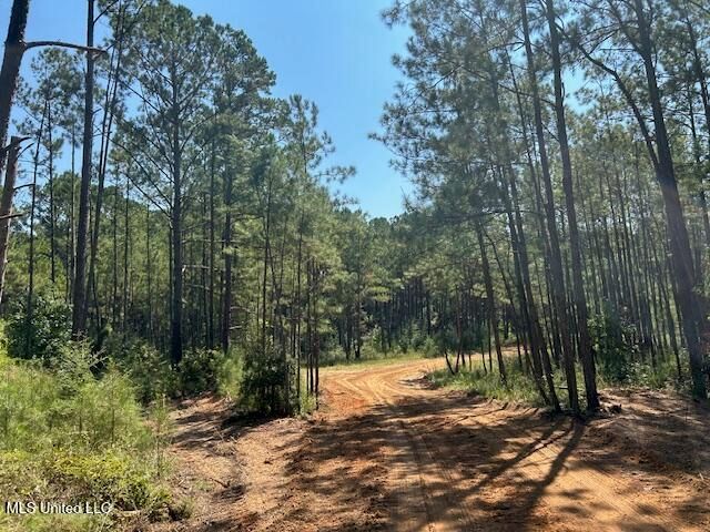 0 Charlie Rhodus Rd, Magnolia, MS 39652