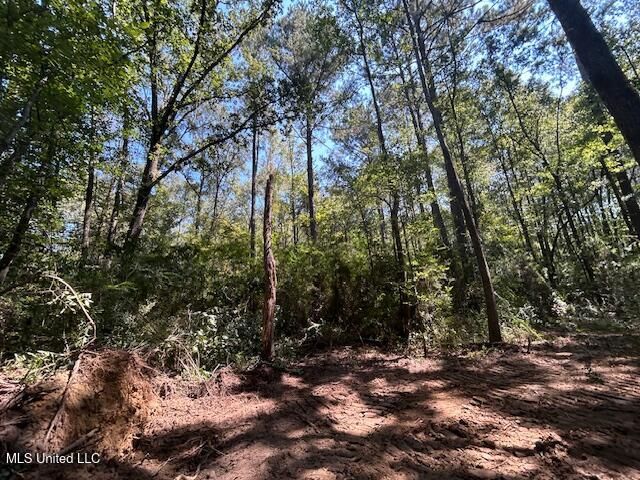 0 Charlie Rhodus Rd, Magnolia, MS 39652